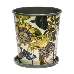 Kew Botanical Retreat Planter With Saucer 16cm