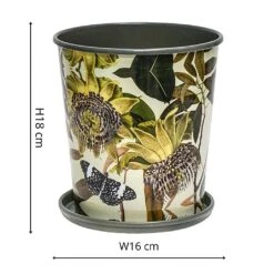 Kew Botanical Retreat Planter With Saucer 16cm 9 Kew Botanical Retreat Planter With Saucer 16cm -Greentide Garden Store 1227745 3