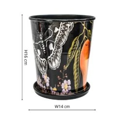 Kew Eclectic Orangery Planter With Saucer 14cm -Greentide Garden Store 1227766 3