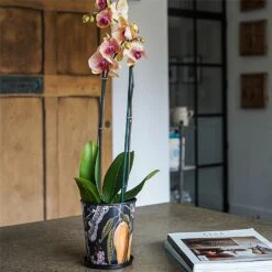 Kew Eclectic Orangery Planter With Saucer 14cm -Greentide Garden Store 1227766 4