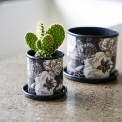 Kew Eclectic Orangery Noir Planter With Saucer 9cm -Greentide Garden Store 1227768 2