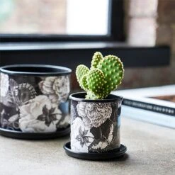 Kew Eclectic Orangery Noir Planter With Saucer 13cm -Greentide Garden Store 1227769 4