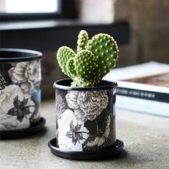 Kew Eclectic Orangery Noir Tall Planter With Saucer 13cm 8 Kew Eclectic Orangery Noir Tall Planter With Saucer 13cm -Greentide Garden Store 1227770 3