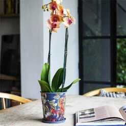 Kew Temperate House Planter With Saucer 16cm -Greentide Garden Store 1227772 5