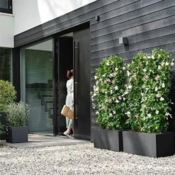 Elho Vivo Next Square Planter 30cm Living Black 7 Elho Vivo Next Square Planter 30cm Living Black -Greentide Garden Store 1230755 2