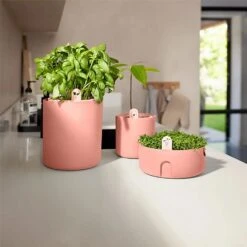 Elho Bouncy Basil Herb Pot Toffee Terracotta -Greentide Garden Store 1230811 2