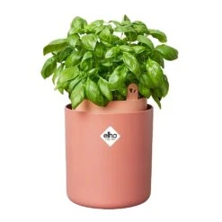 Elho Bouncy Basil Herb Pot Toffee Terracotta -Greentide Garden Store 1230811 3