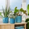 Elho The Ocean Collection Round Pot 22cm Atlantic Blue 1 Elho The Ocean Collection Round Pot 22cm Atlantic Blue -Greentide Garden Store 1230822