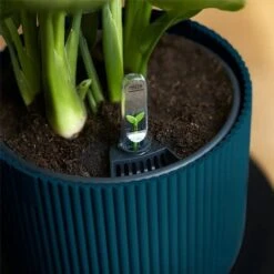 Elho Vibes Fold Round Planter 22cm Deep Blue -Greentide Garden Store 1230825 3