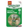 The Big Cheese Ready-Baited Multi-Catch Live Mouse Trap (2 Colours) -Greentide Garden Store 1233137