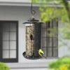 Panacea Modern Farmhouse Triple Mixed Seed Combination Feeder -Greentide Garden Store 1233197