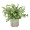 Rosemary Plant Stone Pot 2 Rosemary Plant Stone Pot -Greentide Garden Store 1238867
