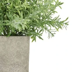 Rosemary Plant Stone Pot 5 Rosemary Plant Stone Pot -Greentide Garden Store 1238867 1