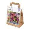 Bouquet Tulipa & Allium (30 Bulbs) -Greentide Garden Store 1248852