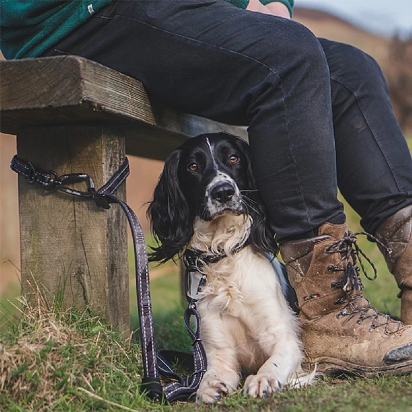 Twiggy Tags Onyx TrailFinder Multi-way Lead 3 Twiggy Tags Onyx TrailFinder Multi-way Lead