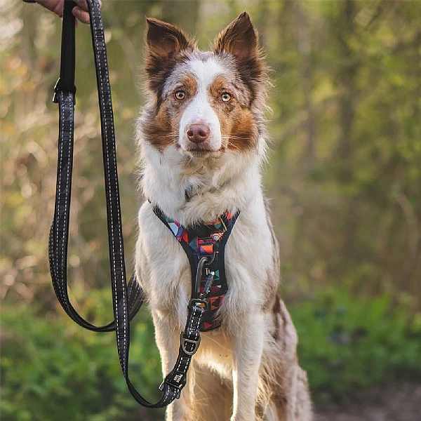 Twiggy Tags Onyx TrailFinder Multi-way Lead 4 Twiggy Tags Onyx TrailFinder Multi-way Lead - Image 2