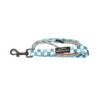 Pawsome Paws Boutique Teal Checkered Lead -Greentide Garden Store 1252619