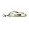 Pawsome Paws Boutique Green Striped Lead -Greentide Garden Store 1252628