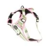 Pawsome Paws Boutique Green Striped ToughTrails Harness - Large -Greentide Garden Store 1252629
