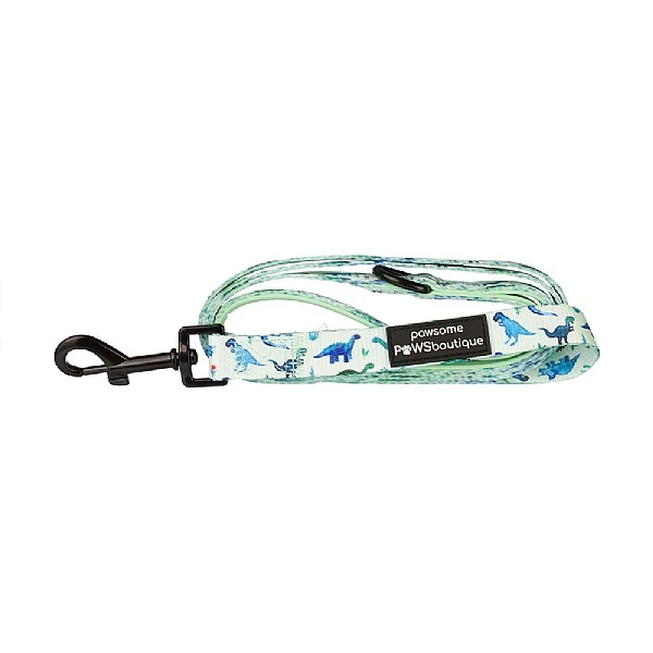 Pawsome Paws Boutique Dinky Dino Lead 3 Pawsome Paws Boutique Dinky Dino Lead