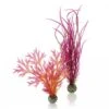 BiOrb Red & Pink Plant Set Medium -Greentide Garden Store 449035