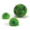 BiOrb Green Topiary Ball Set -Greentide Garden Store 449036