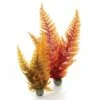 BiOrb Aquatic Autumn Ferns Plant Set 2 BiOrb Aquatic Autumn Ferns Plant Set -Greentide Garden Store 468741