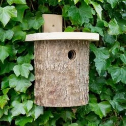 Wildlife World Natural Log Tit Nesting Box -Greentide Garden Store 559001 1