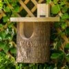 Wildlife World Natural Log Robin Nesting Box -Greentide Garden Store 559002