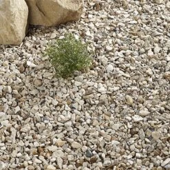 Kelkay Yorkshire Cream Bulk Bag -Greentide Garden Store 574726 2