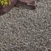 Kelkay Cornish Silver Chippings Bulk Bag -Greentide Garden Store 574729