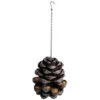 Pinecone Bird Feeder 2 Pinecone Bird Feeder -Greentide Garden Store 583523