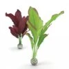 BiOrb Green & Purple Silk Plant Set Medium 1 BiOrb Green & Purple Silk Plant Set Medium -Greentide Garden Store 596348