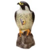 Defenders Falcon Decoy 2 Defenders Falcon Decoy -Greentide Garden Store 616880