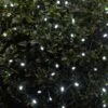 Smart Solar 100 White LED String Lights -Greentide Garden Store 831795