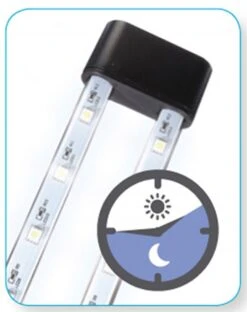 Interpet Insight LED Aquarium – 64L 15 Interpet Insight LED Aquarium – 64L -Greentide Garden Store 834734 2