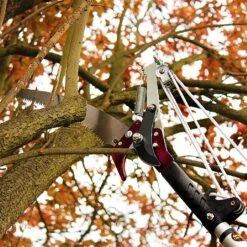 Kent & Stowe Telescopic Tree Lopper -Greentide Garden Store 910042 1