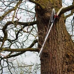 Kent & Stowe Telescopic Tree Lopper -Greentide Garden Store 910042 2