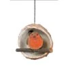 Vivid Arts Robin In A Coconut Bird Feeder -Greentide Garden Store 931666