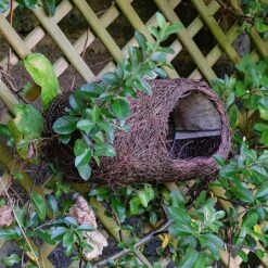 Simon King Brushwood Robin Nester 5 Simon King Brushwood Robin Nester -Greentide Garden Store 962302 1