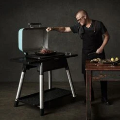 Everdure By Heston Blumenthal FORCE 2 Burner Gas BBQ Graphite -Greentide Garden Store 966504 4