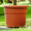 Elho Algarve Cilindro Planter With Wheels 48cm -Greentide Garden Store ALG CIL WHEEL 48