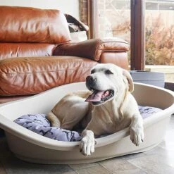 All Seasons Dog Print Mattress (Various Sizes) -Greentide Garden Store ASDOGMATT 1