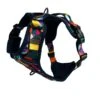Twiggy Tags Aurora Adventure Harness - Various Sizes 2 Twiggy Tags Aurora Adventure Harness - Various Sizes -Greentide Garden Store AURADHARN