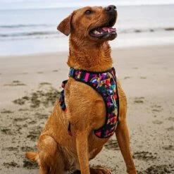 Twiggy Tags Aurora Adventure Harness - Various Sizes -Greentide Garden Store AURADHARN 3