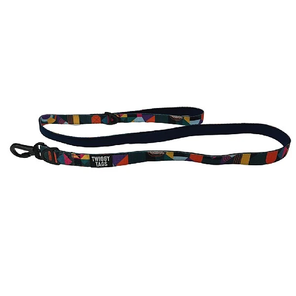 Twiggy Tags Aurora Adventure Lead - Various Sizes 3 Twiggy Tags Aurora Adventure Lead - Various Sizes