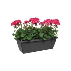 Elho Barcelona 90cm Trough (Various Colours) -Greentide Garden Store BARCTROUGH90 2