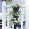 Elho Corsica Vertical Forest 24cm Planters - Set Of 3 (Various Colours) -Greentide Garden Store CORFOR24