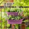 Elho Corsica Large Vertical Forest Planters - Set Of 2 (Various Colours) -Greentide Garden Store CORFORLRG