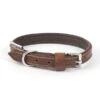 Ancol Vintage Leather Padded Collar Brown -Greentide Garden Store CVINLEABWN